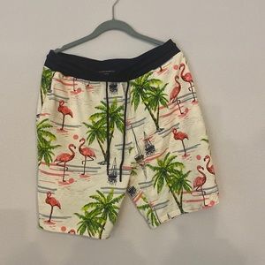 No Boundaries flamingo shorts